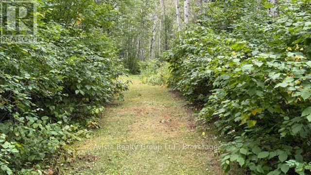 232 Nicholetts Rd Road, Oliver Paipoonge, Ontario  P0T 2G0 - Photo 25 - X13738230
