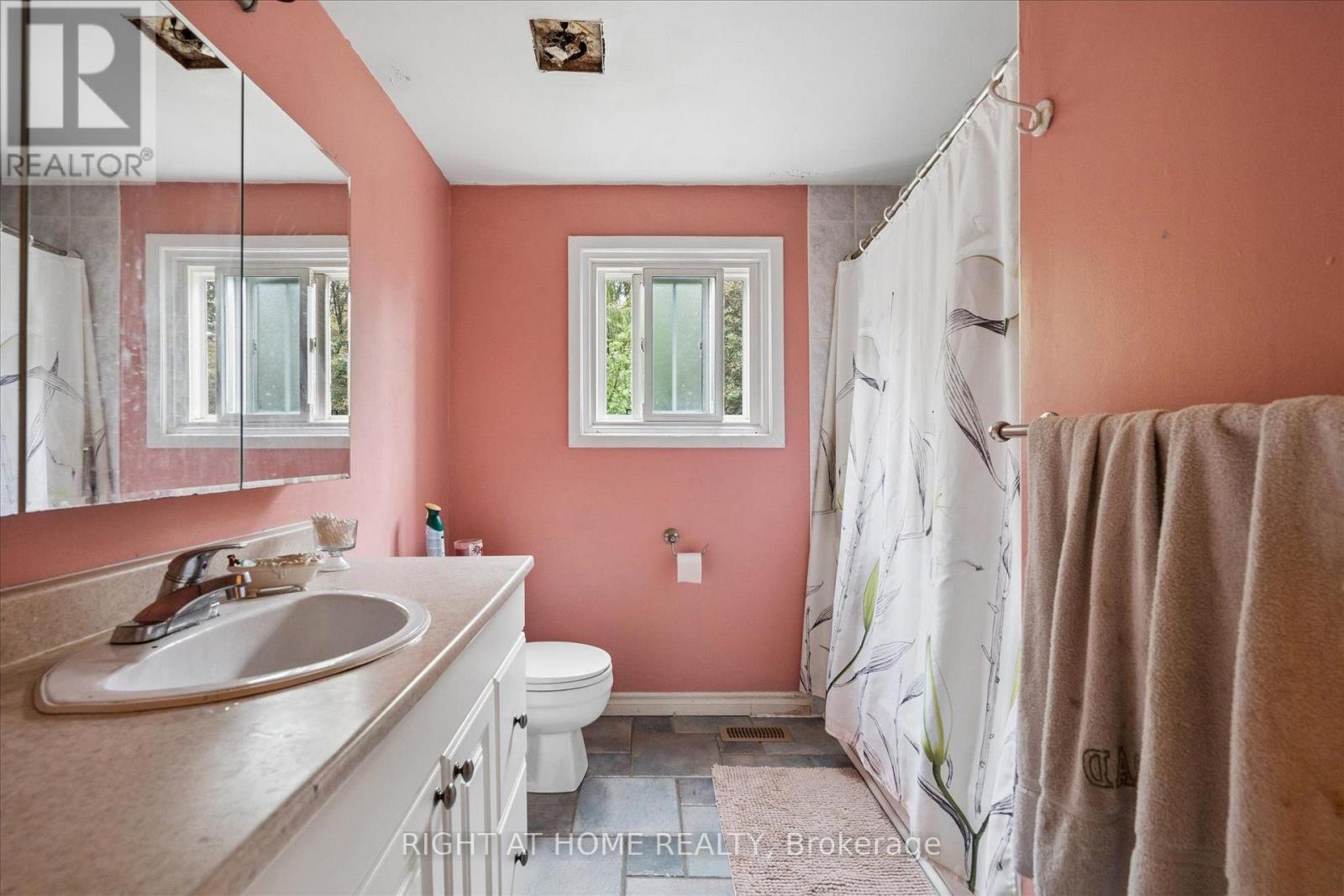 701 Central Park Boulevard N, Oshawa, Ontario  L1G 6A8 - Photo 17 - E13738388