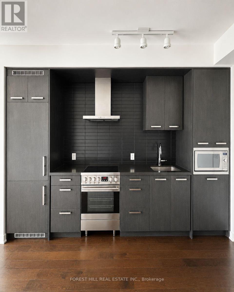 N513 - 455 Front Street E, Toronto, Ontario  M5A 0G2 - Photo 3 - C13738600