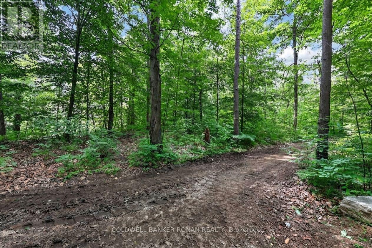 9087 Webster Road, Adjala-Tosorontio, Ontario  L0M 1K0 - Photo 43 - N13732640