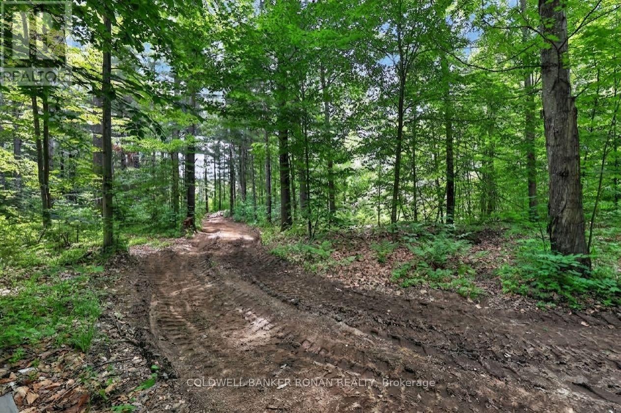 9087 Webster Road, Adjala-Tosorontio, Ontario  L0M 1K0 - Photo 44 - N13732640