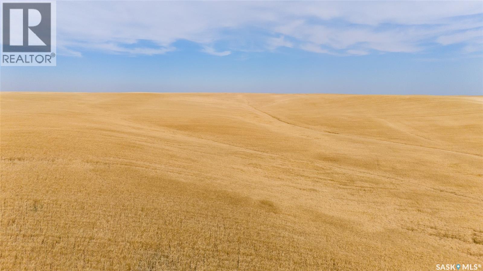 214.99 Acres Grainland Near Willow Bunch, Willow Bunch Rm No. 42, Saskatchewan  S0H 4K0 - Photo 15 - SK047373