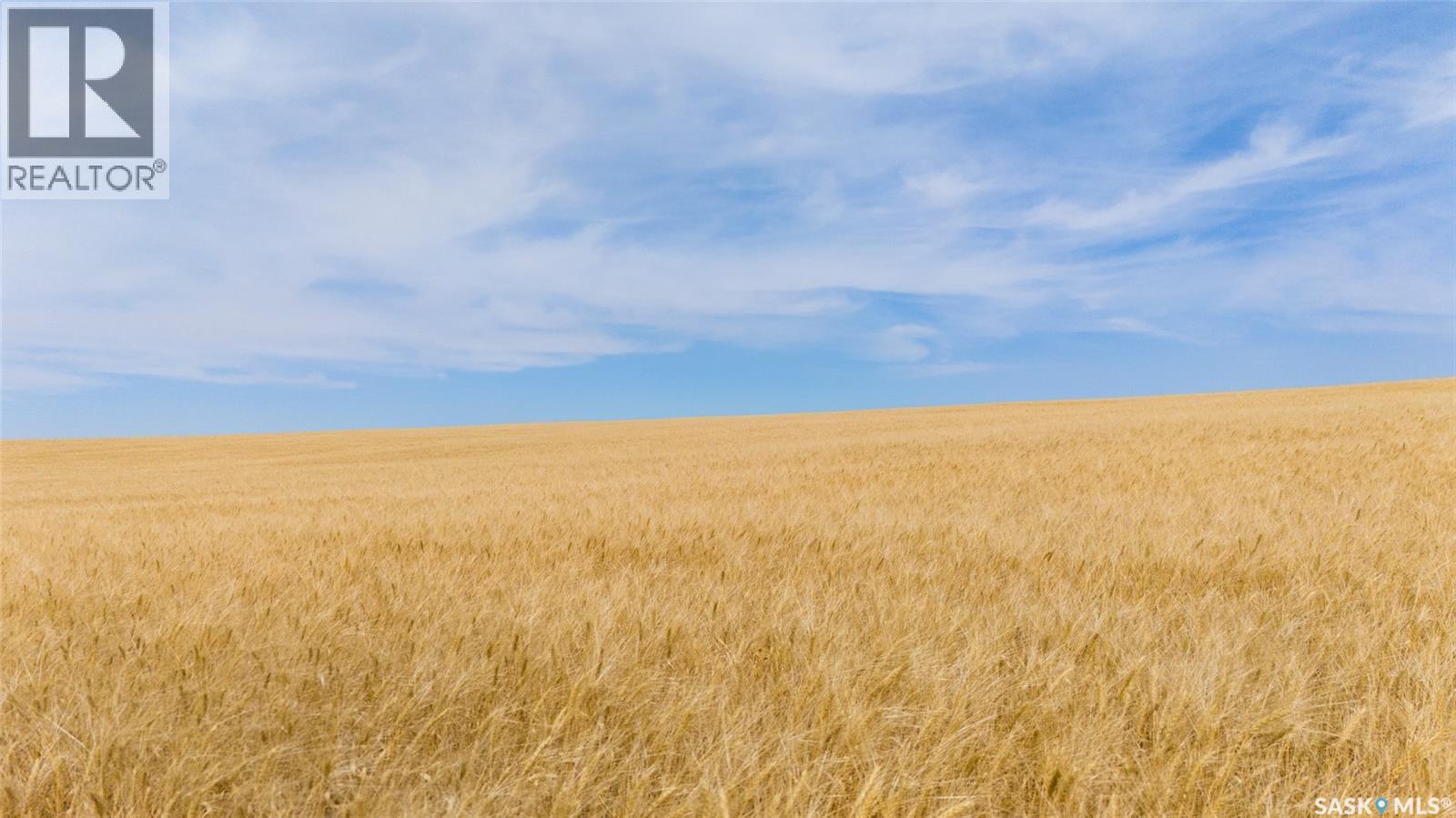 214.99 Acres Grainland Near Willow Bunch, Willow Bunch Rm No. 42, Saskatchewan  S0H 4K0 - Photo 5 - SK047373