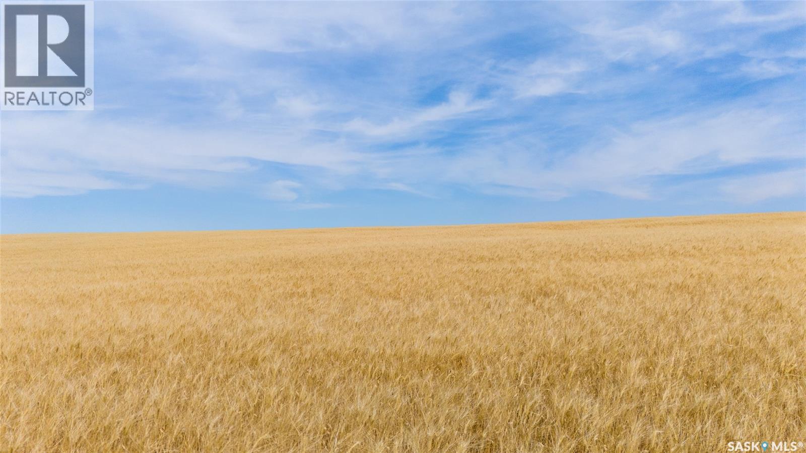214.99 Acres Grainland Near Willow Bunch, Willow Bunch Rm No. 42, Saskatchewan  S0H 4K0 - Photo 6 - SK047373