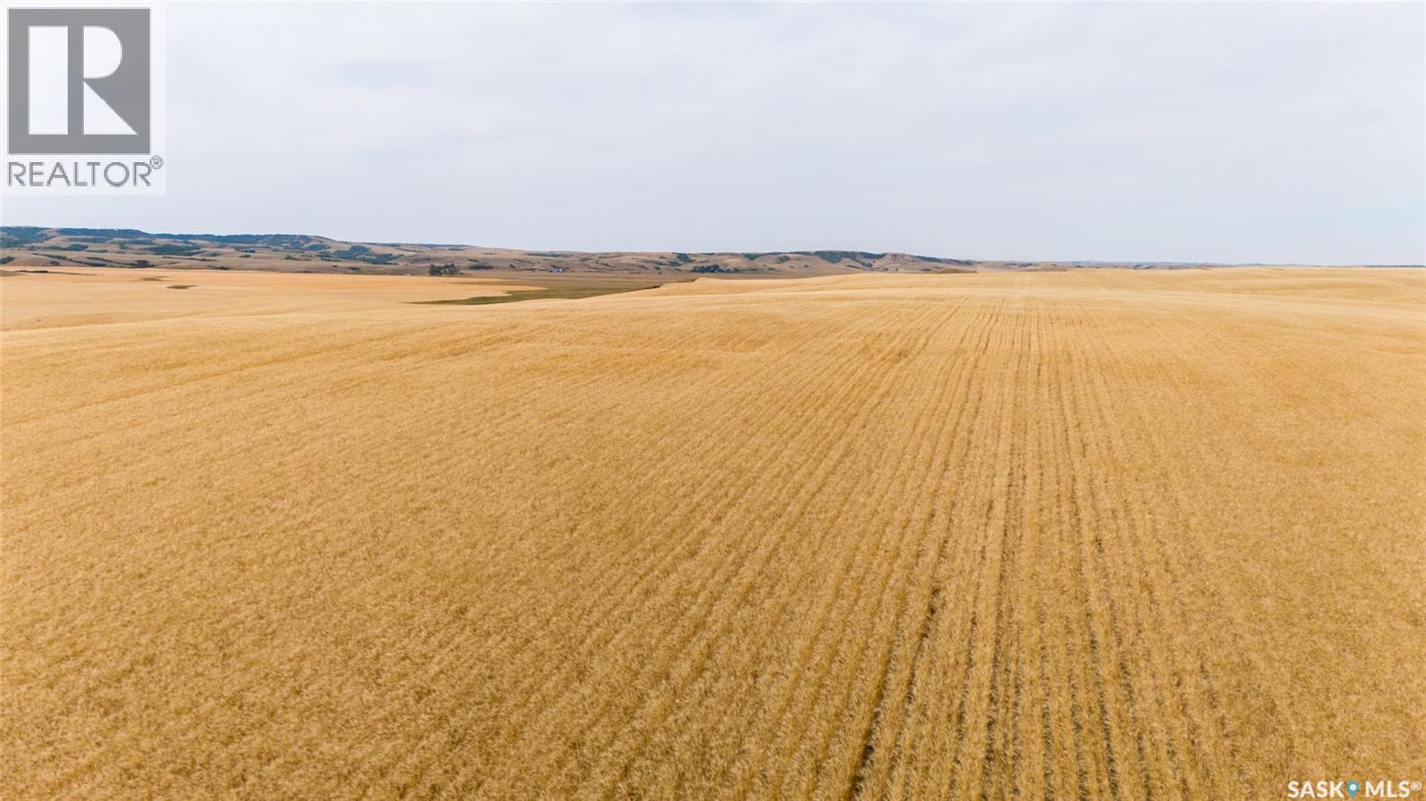 214.99 Acres Grainland Near Willow Bunch, Willow Bunch Rm No. 42, Saskatchewan  S0H 4K0 - Photo 8 - SK047373