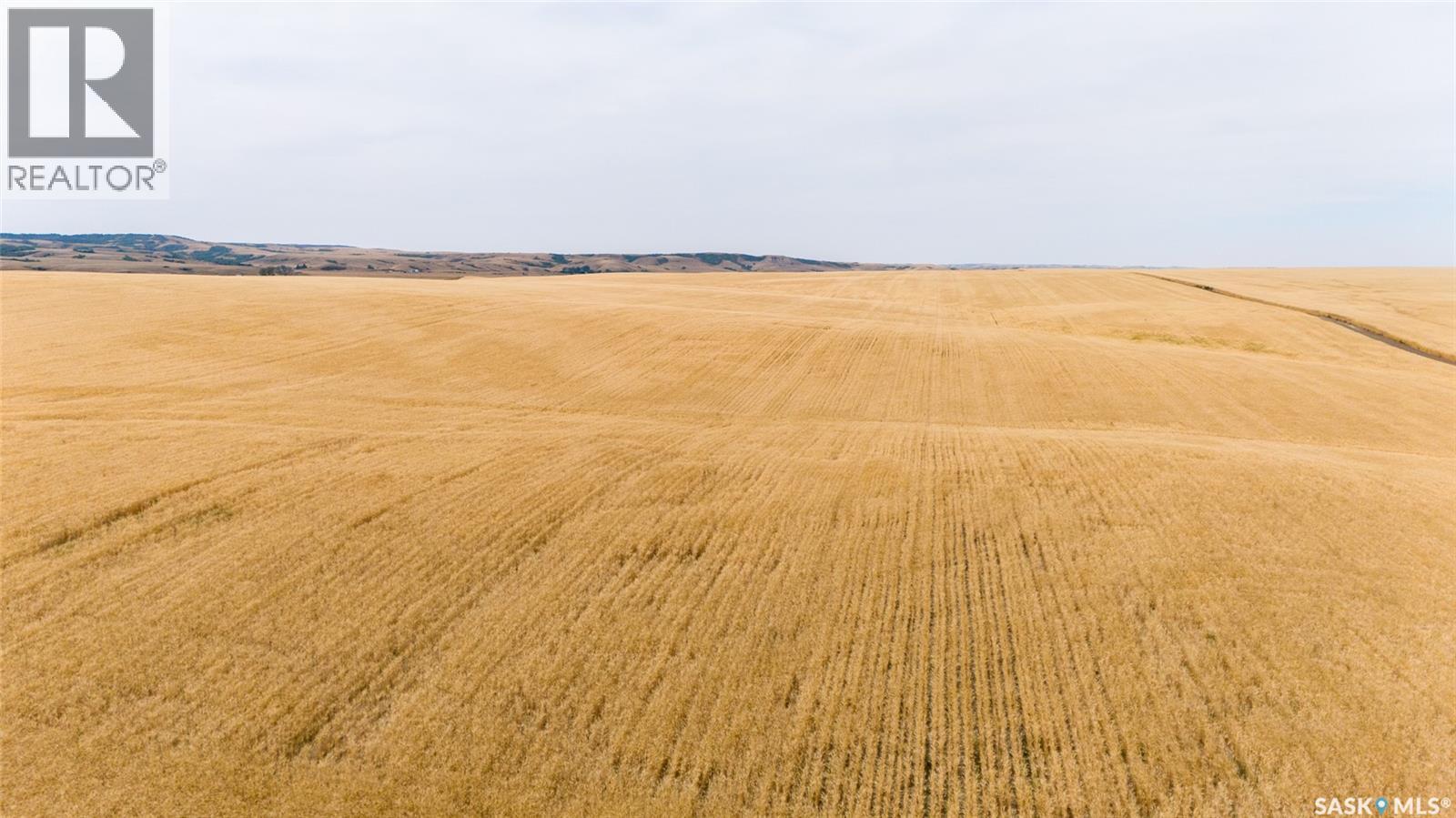 214.99 Acres Grainland Near Willow Bunch, Willow Bunch Rm No. 42, Saskatchewan  S0H 4K0 - Photo 9 - SK047373