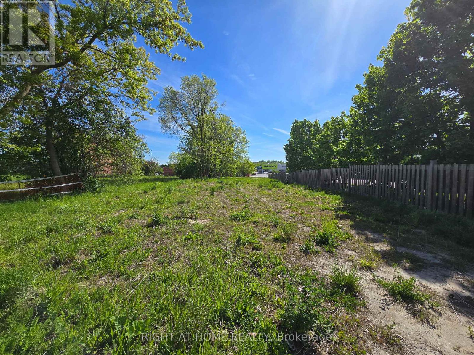 455 The Queensway South, Georgina, Ontario  L4P 2C9 - Photo 3 - N13220504