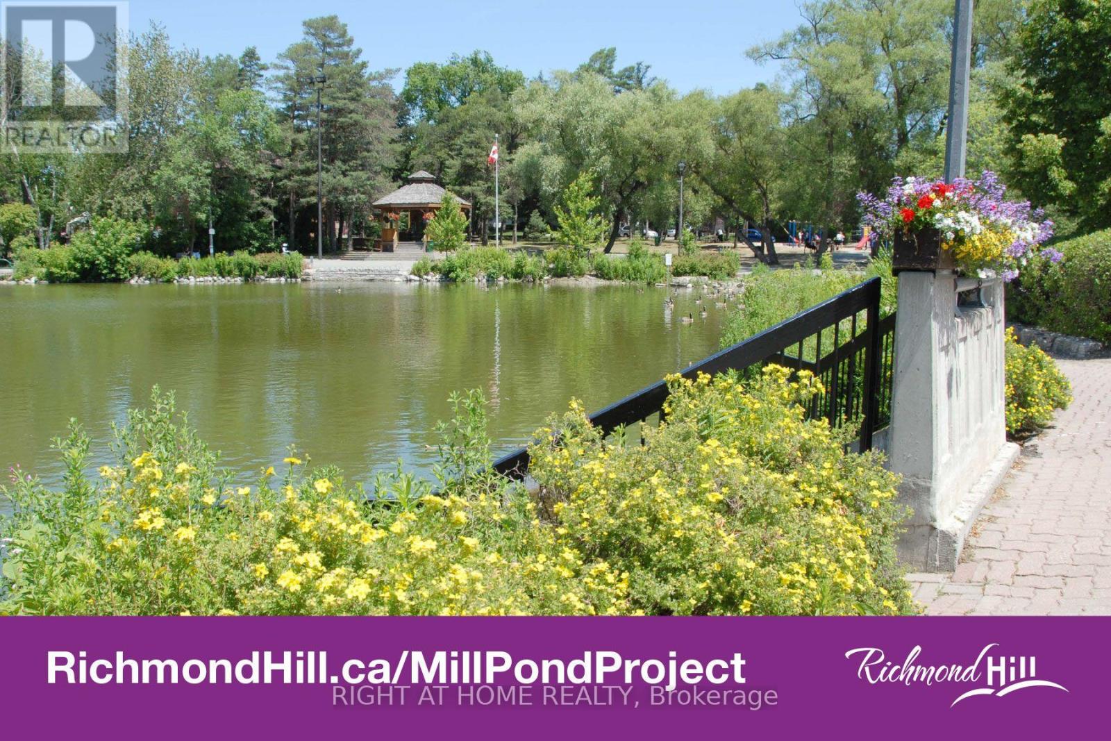 Bsmt - 186 Driscoll Road, Richmond Hill, Ontario L4C 4H7 - Photo 17 - N13738968