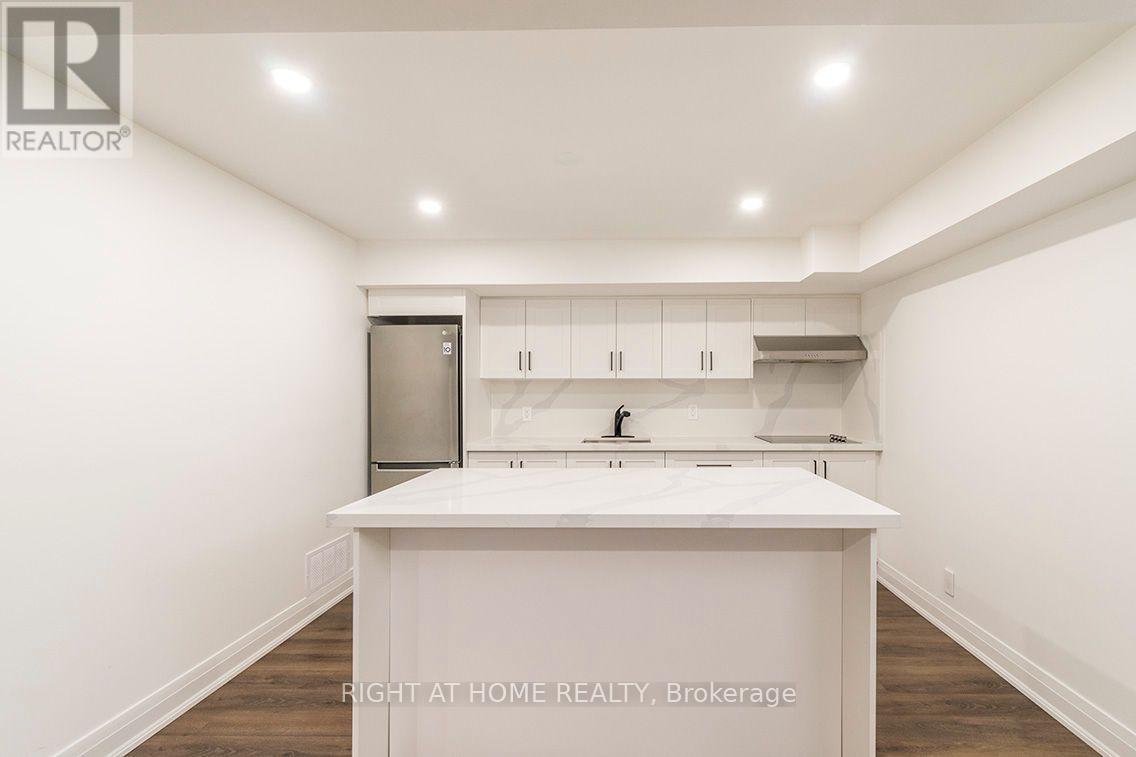 Bsmt - 186 Driscoll Road, Richmond Hill, Ontario L4C 4H7 - Photo 6 - N13738968