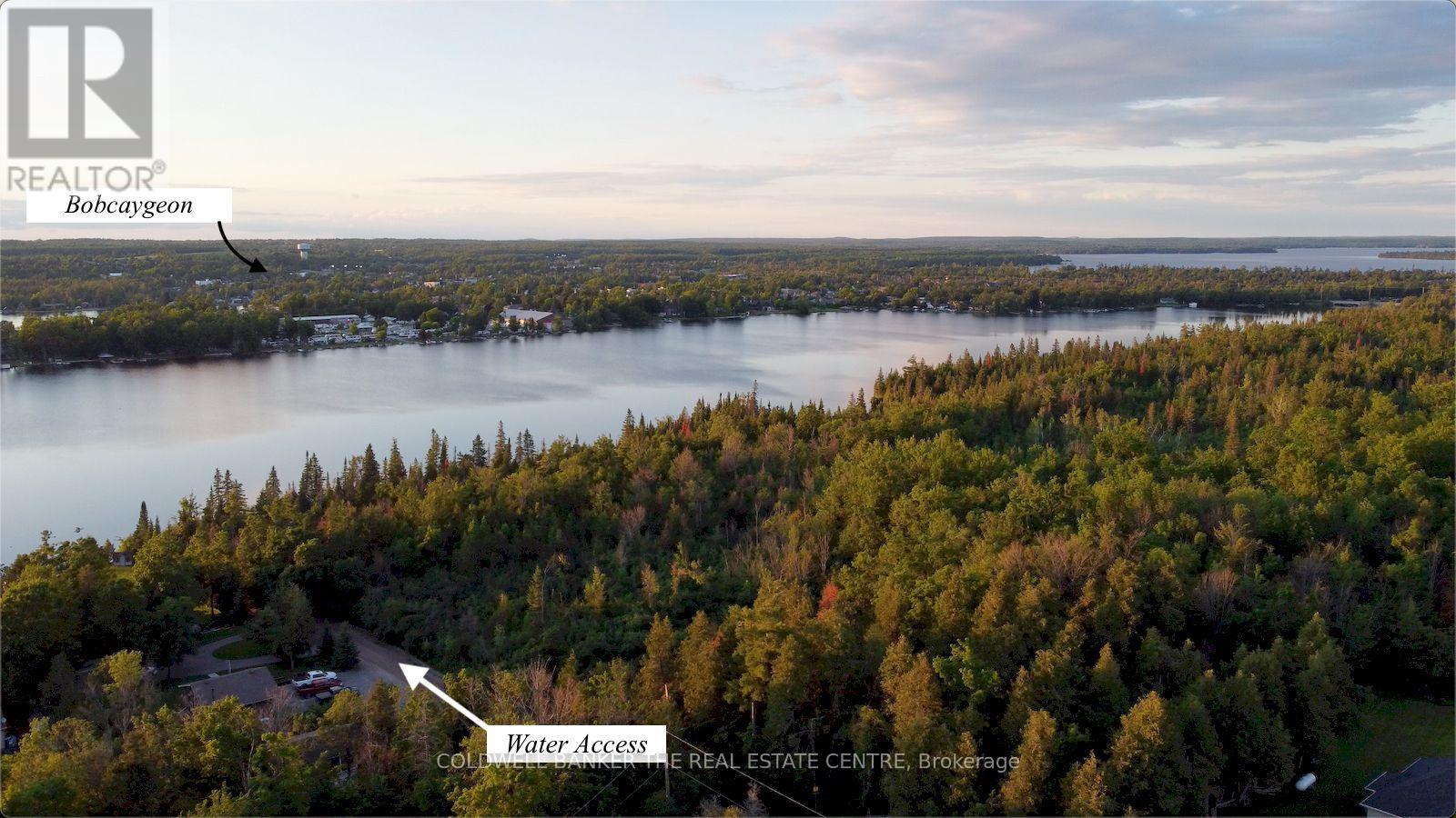 521 Ranch Road, Kawartha Lakes, Ontario  K0M 1A0 - Photo 8 - X13484548