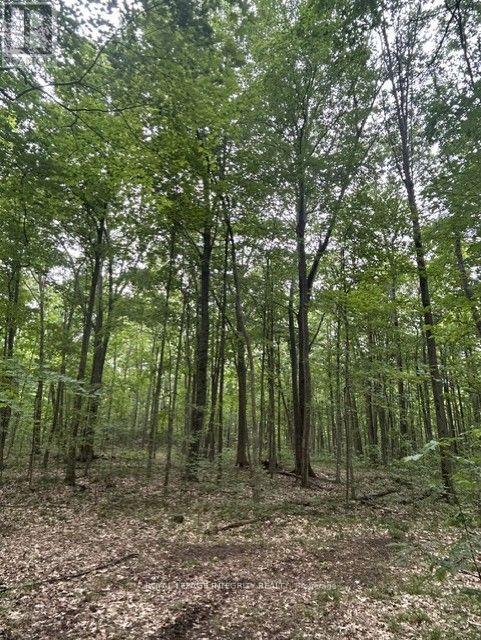 0 Armstrong Road, Merrickville-Wolford, Ontario  K0G 1N0 - Photo 18 - X13737958
