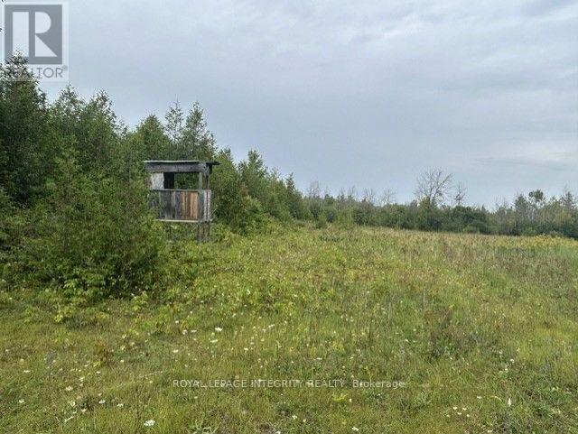 0 Armstrong Road, Merrickville-Wolford, Ontario  K0G 1N0 - Photo 17 - X13737958