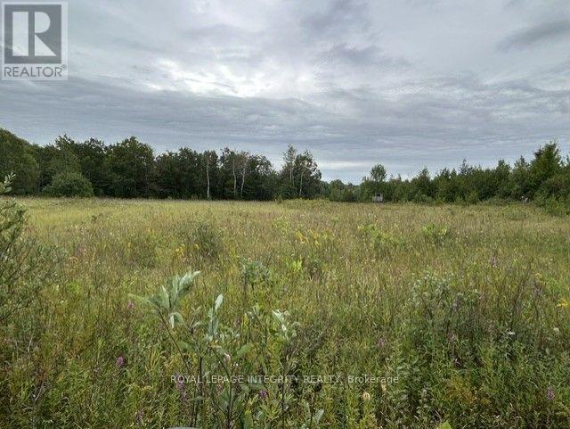 0 Armstrong Road, Merrickville-Wolford, Ontario  K0G 1N0 - Photo 25 - X13737958