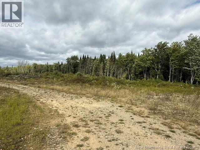 9 Mcabbie-Bye Road, Balmoral, New Brunswick  E8E 1K9 - Photo 12 - NB147043