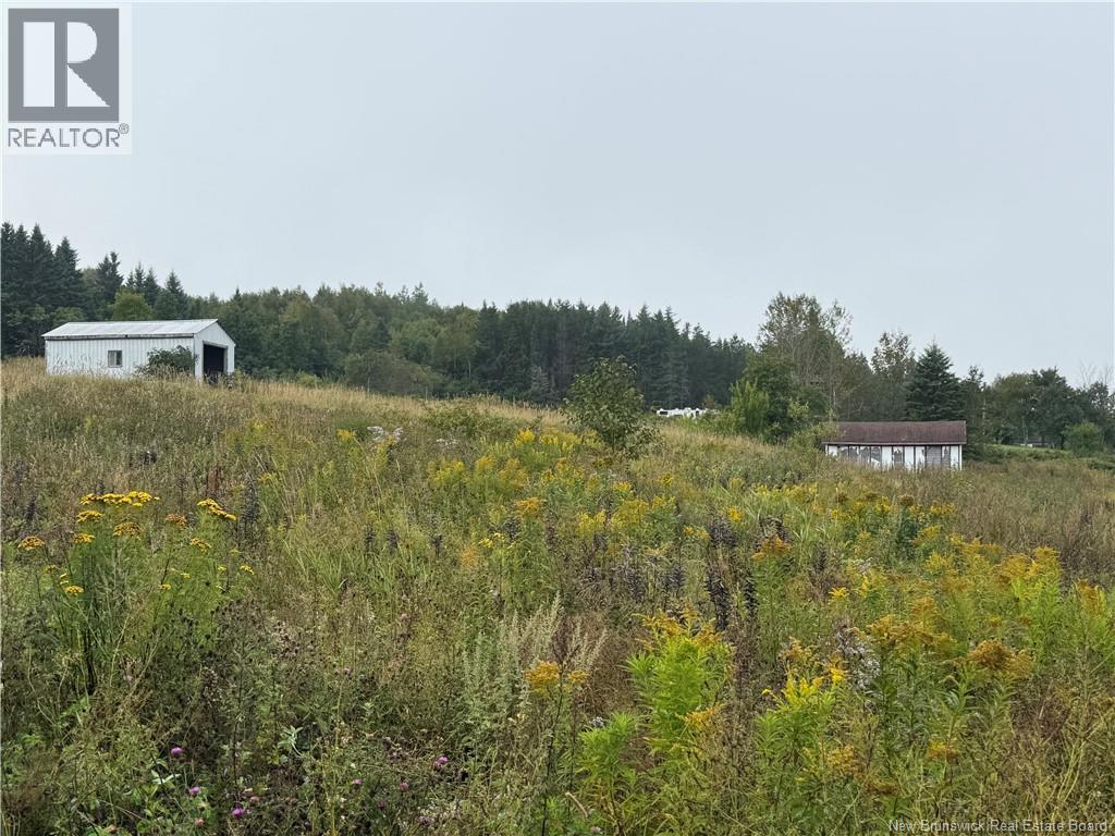 9 Mcabbie-Bye Road, Balmoral, New Brunswick  E8E 1K9 - Photo 13 - NB147043