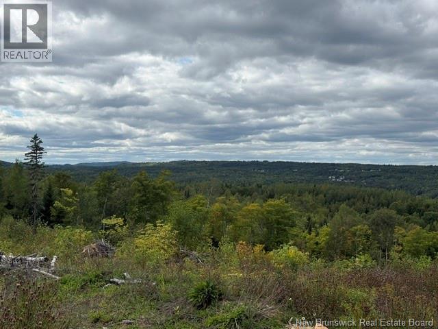 9 Mcabbie-Bye Road, Balmoral, New Brunswick  E8E 1K9 - Photo 19 - NB147043