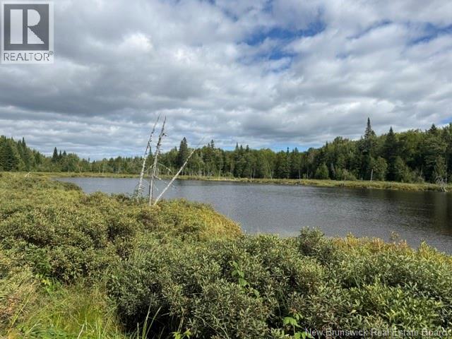 9 Mcabbie-Bye Road, Balmoral, New Brunswick  E8E 1K9 - Photo 8 - NB147043