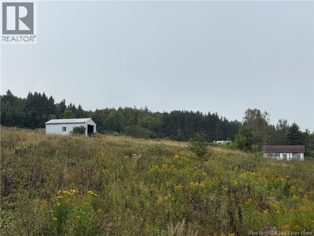 9 Mcabbie-Bye Road, Balmoral, New Brunswick  E8E 1K9 - Photo 11 - NB147043