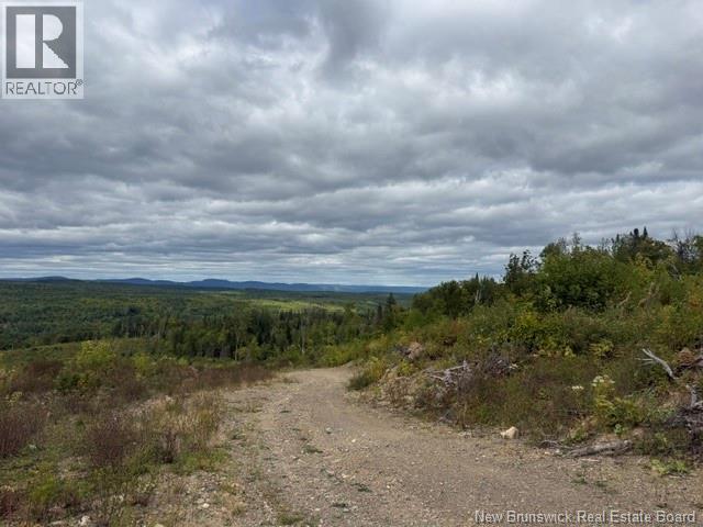 9 Mcabbie-Bye Road, Balmoral, New Brunswick  E8E 1K9 - Photo 17 - NB147043