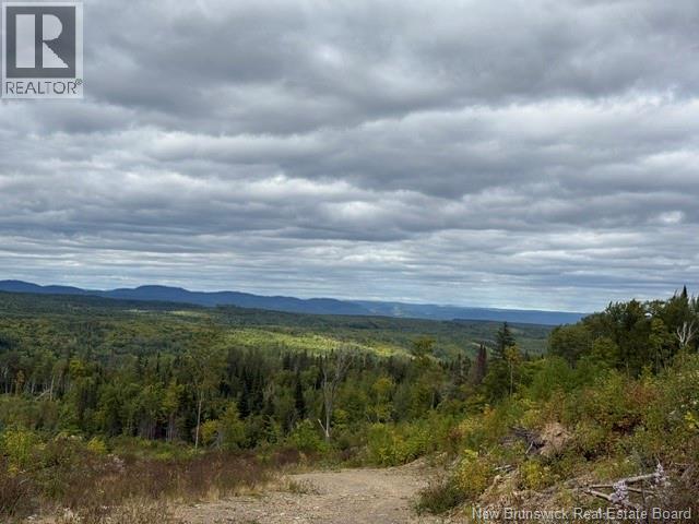 9 Mcabbie-Bye Road, Balmoral, New Brunswick  E8E 1K9 - Photo 18 - NB147043