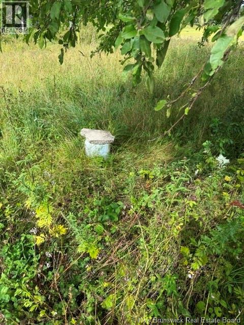 9 Mcabbie-Bye Road, Balmoral, New Brunswick  E8E 1K9 - Photo 5 - NB147043