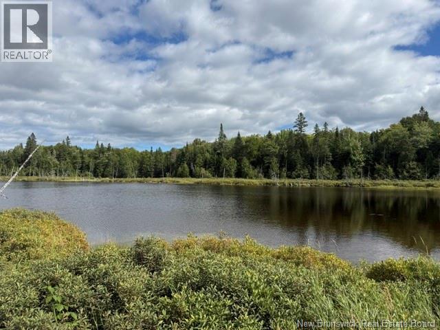 9 Mcabbie-Bye Road, Balmoral, New Brunswick  E8E 1K9 - Photo 9 - NB147043
