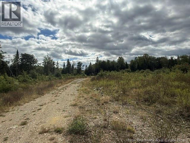9 Mcabbie-Bye Road, Balmoral, New Brunswick  E8E 1K9 - Photo 14 - NB147043