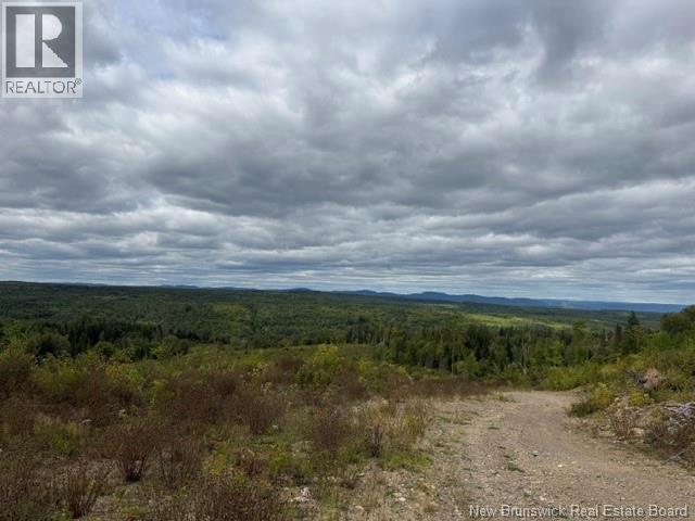 9 Mcabbie-Bye Road, Balmoral, New Brunswick  E8E 1K9 - Photo 16 - NB147043