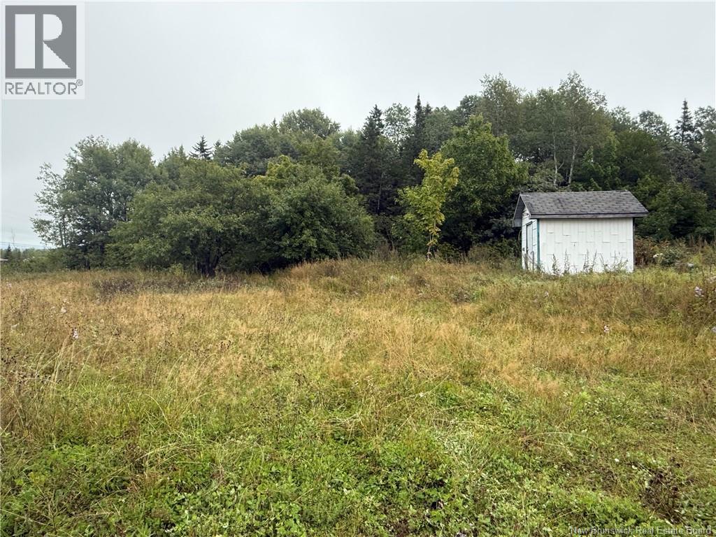 9 Mcabbie-Bye Road, Balmoral, New Brunswick  E8E 1K9 - Photo 7 - NB147043