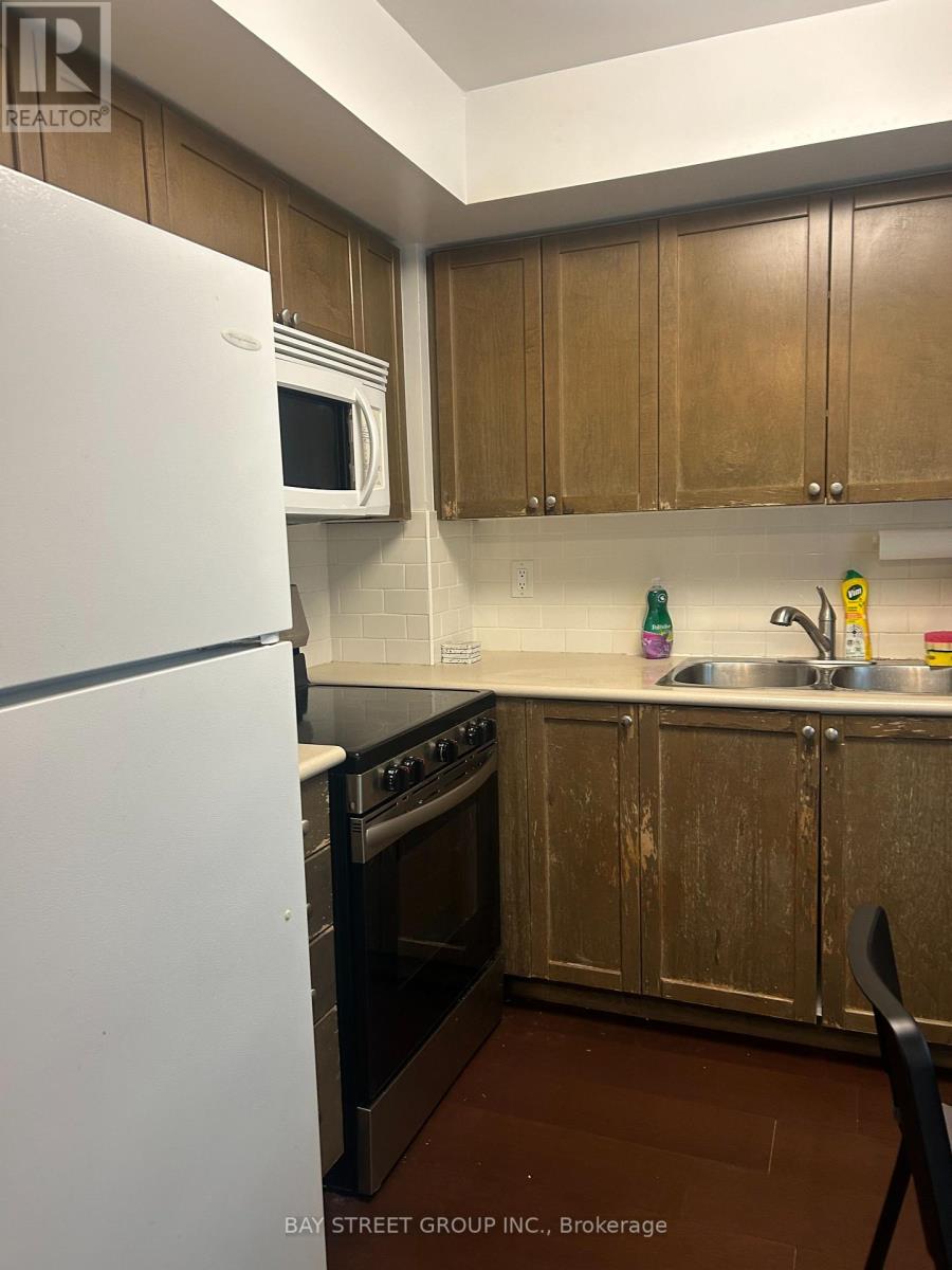204 - 21 Hillcrest Avenue, Toronto, Ontario  M2N 7K2 - Photo 9 - C13739328