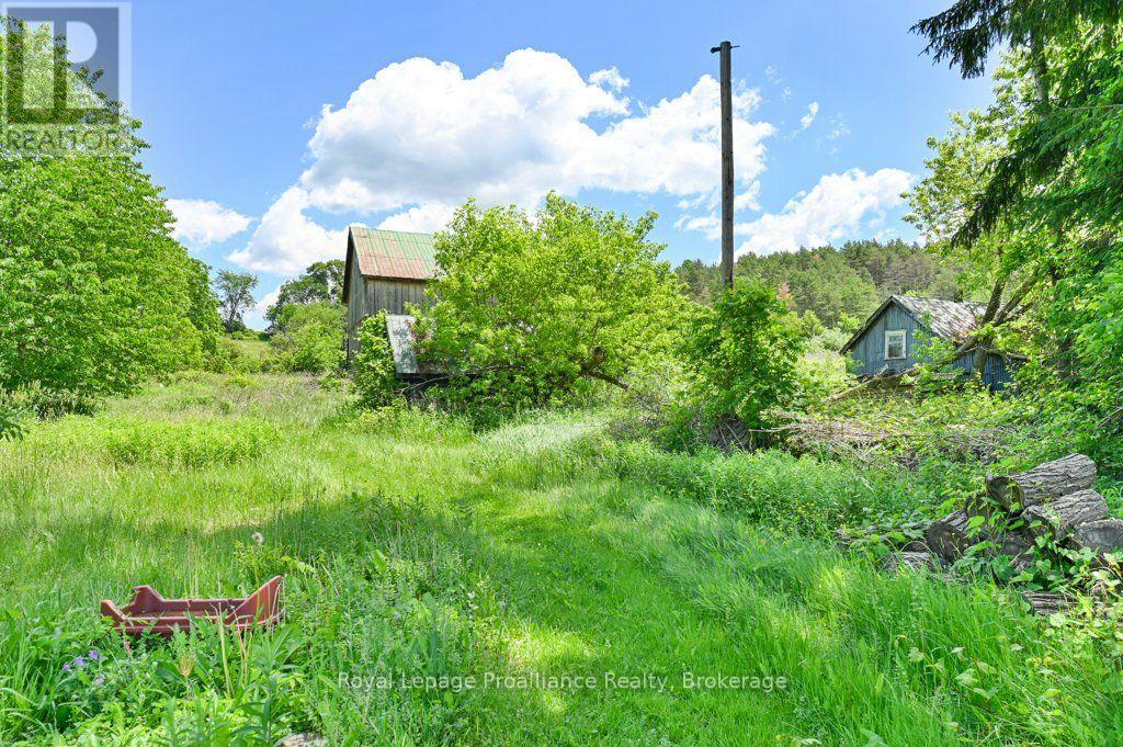 2014 Foxboro-Stirling Road, Quinte West, Ontario  K0K 3E0 - Photo 35 - X13737490