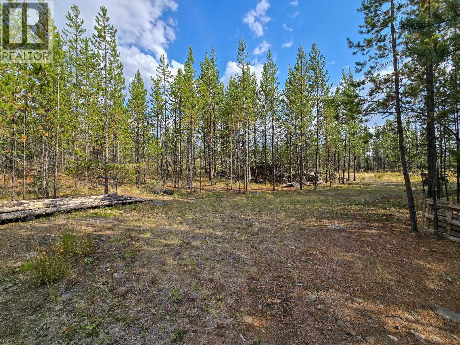 Confidential - C/o Ls, 100 Mile House, British Columbia  V0K 2E2 - Photo 18 - R3160872