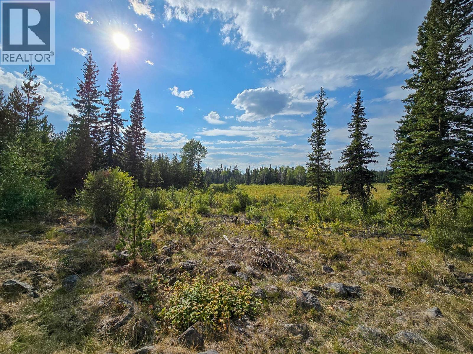 Confidential - C/o Ls, 100 Mile House, British Columbia  V0K 2E2 - Photo 28 - R3160872