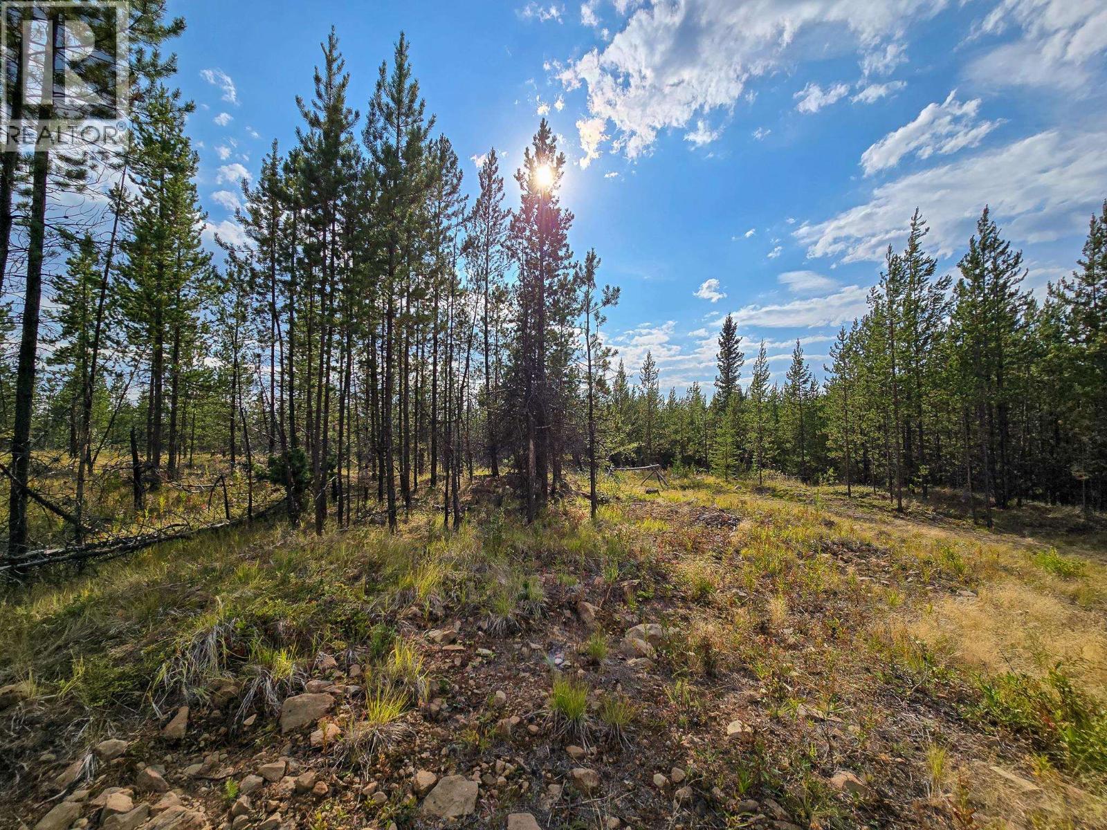 Confidential - C/o Ls, 100 Mile House, British Columbia  V0K 2E2 - Photo 20 - R3160872