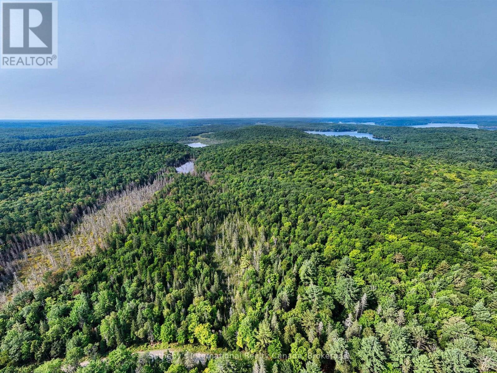 1045 C Browns Brae Road, Lake Of Bays, Ontario  P0B 1A0 - Photo 2 - X13739520