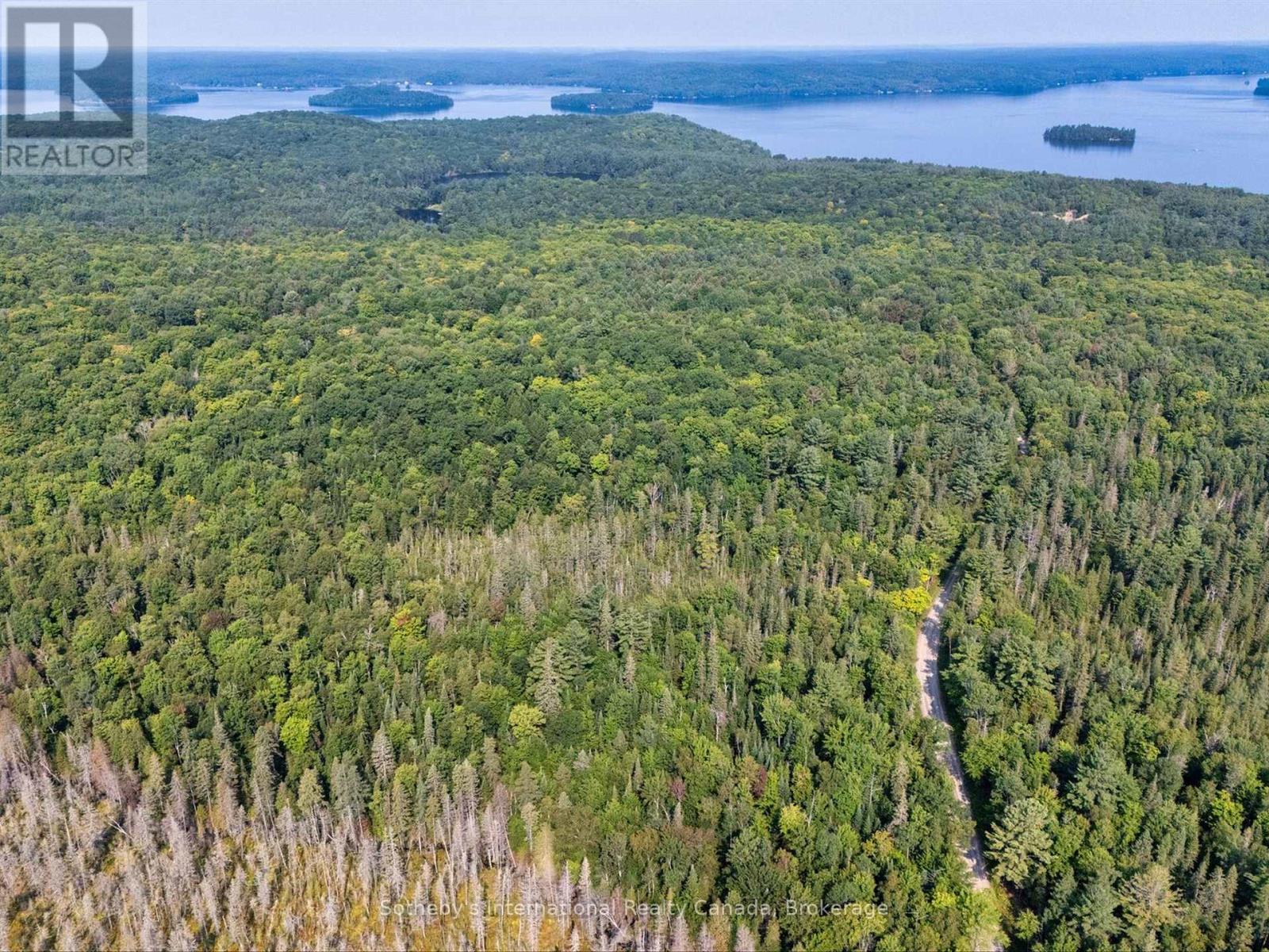 1045 C Browns Brae Road, Lake Of Bays, Ontario  P0B 1A0 - Photo 5 - X13739520