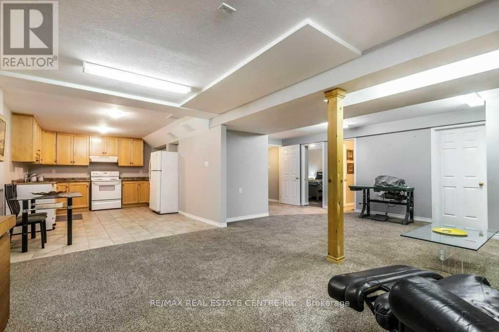 Basemen - 131 Mcnichol Drive, Cambridge, Ontario  N1P 1E1 - Photo 4 - X13739516