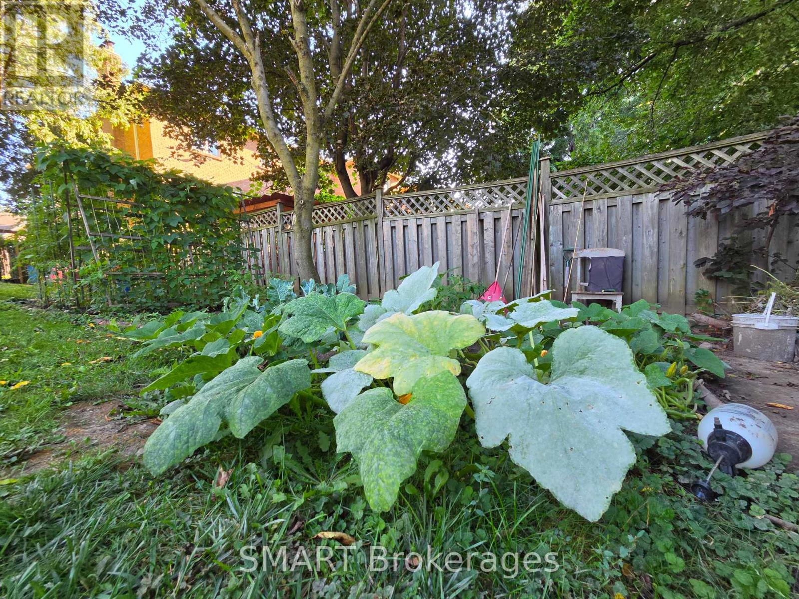 482 Ruth Avenue, Toronto, Ontario  M2M 2J3 - Photo 32 - C13739590