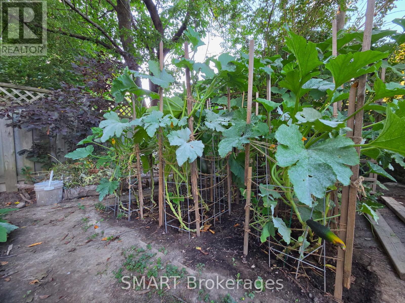 482 Ruth Avenue, Toronto, Ontario  M2M 2J3 - Photo 33 - C13739590