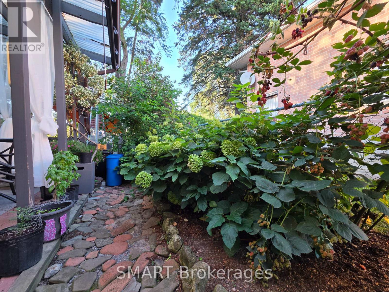 482 Ruth Avenue, Toronto, Ontario  M2M 2J3 - Photo 43 - C13739590