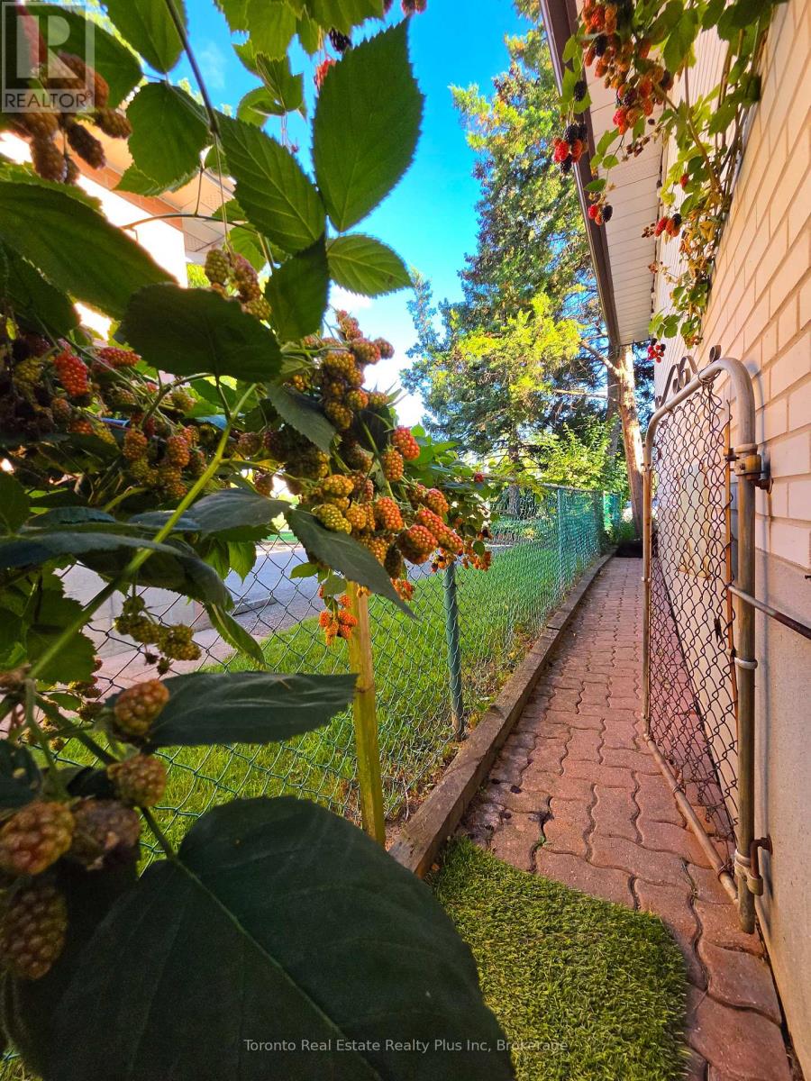482 Ruth Avenue, Toronto, Ontario  M2M 2J3 - Photo 45 - C13739590