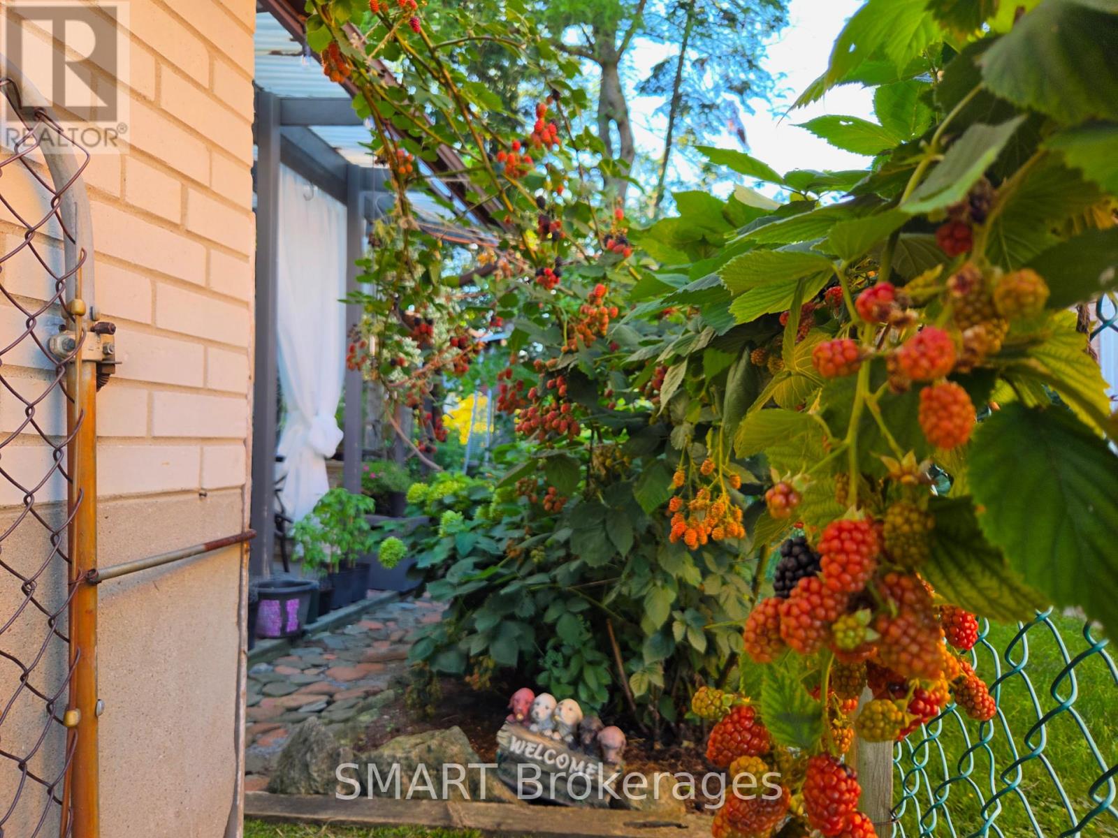 482 Ruth Avenue, Toronto, Ontario  M2M 2J3 - Photo 46 - C13739590