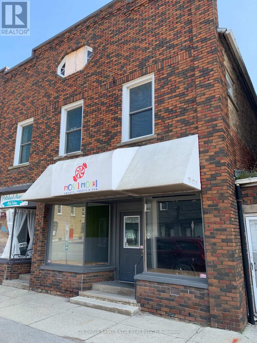 223a Main Street, Southwest Middlesex, Ontario  N0L 1M0 - Photo 2 - X13739706