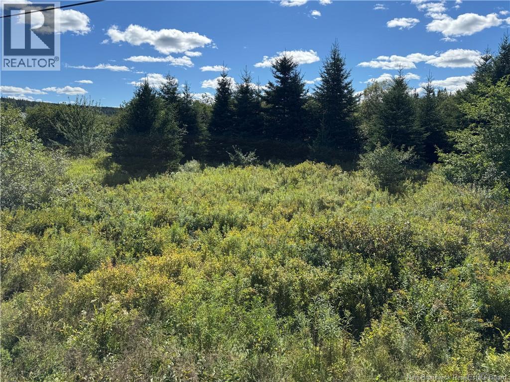 LOT Route 111, Hammondvale, New Brunswick