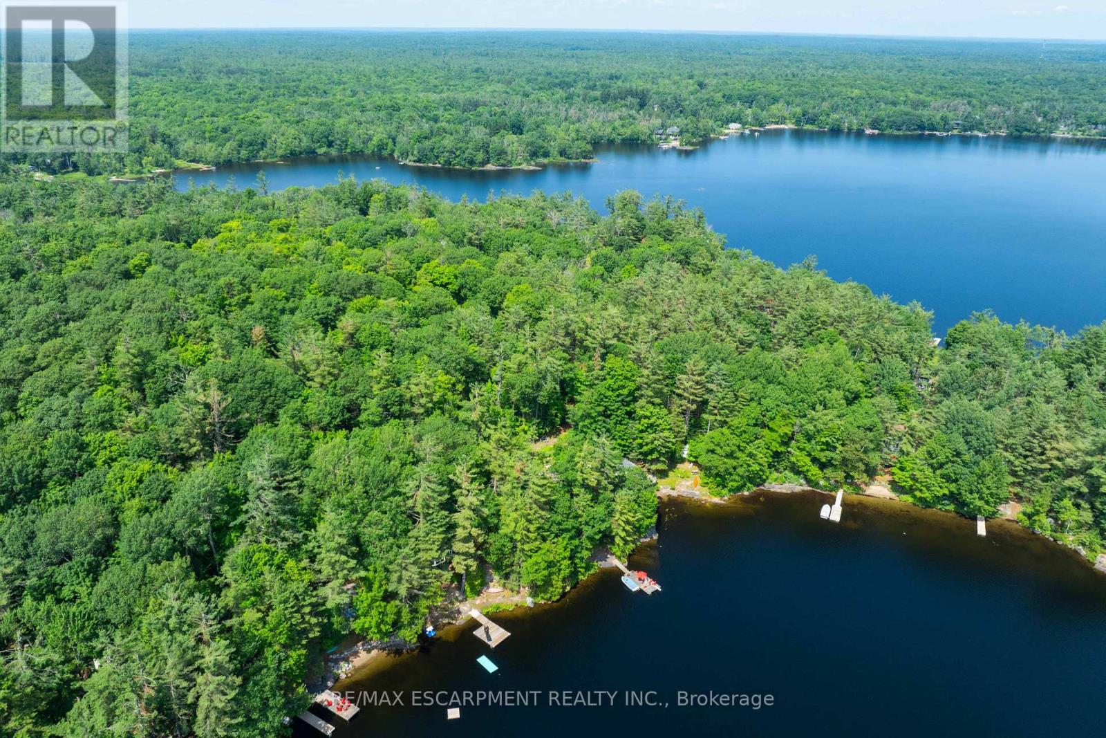 1009 Fogo Street, Muskoka Lakes, Ontario P0C 1H0 - Photo 4 - X13675334
