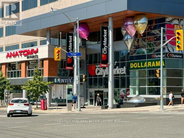 Upper - 101 Chatsworth Drive, Toronto, Ontario  M4R 1R8 - Photo 25 - C13740032