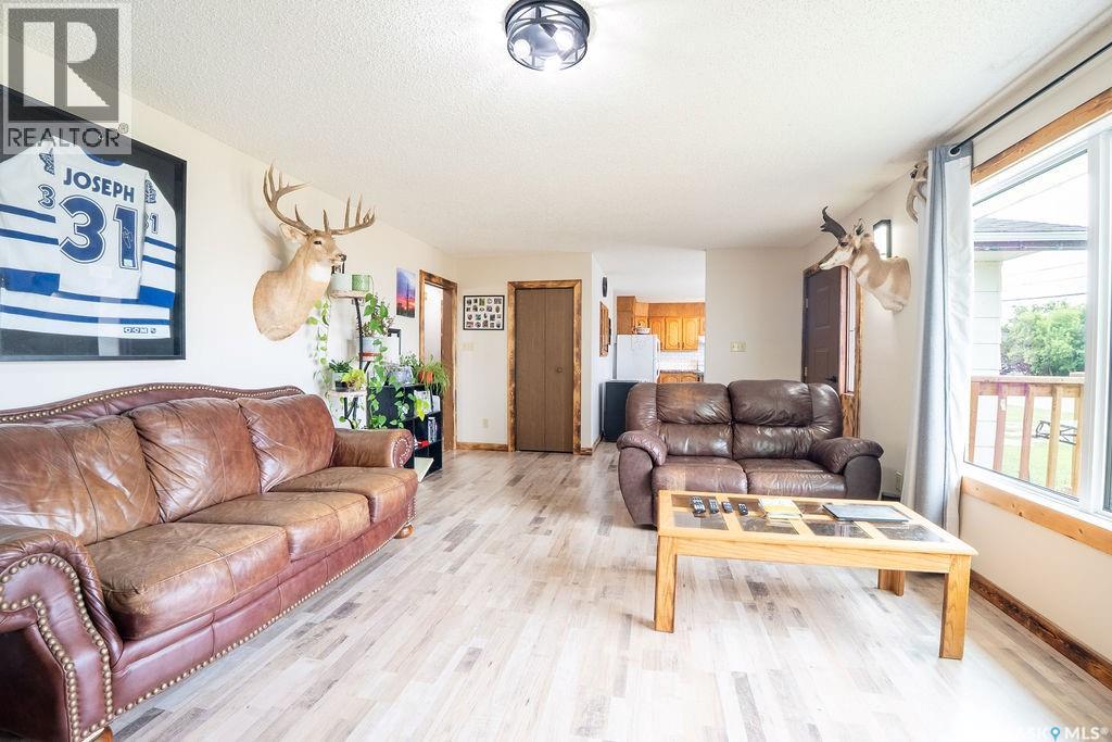 701 1st Street, Hanley, Saskatchewan  S0G 2E0 - Photo 12 - SK047368