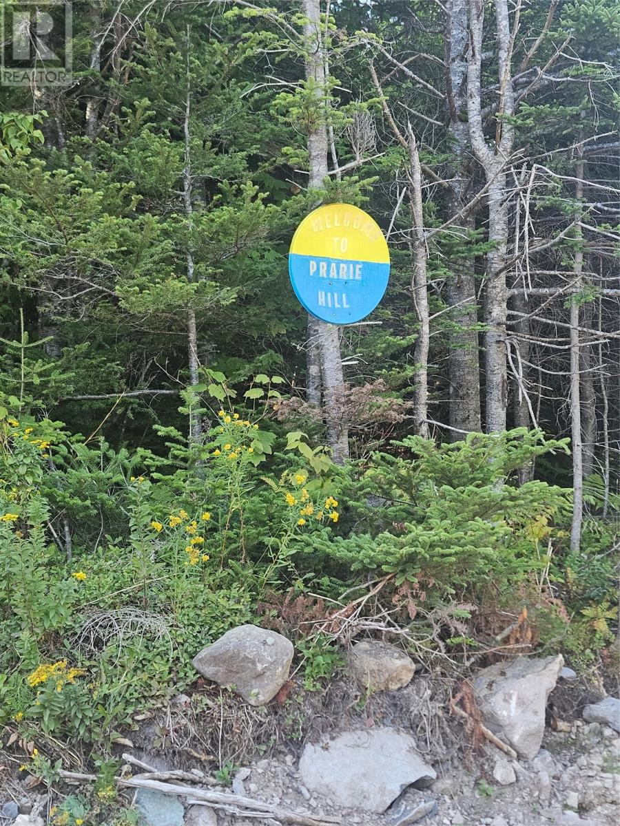 0 Prairie Hill (Garnish Pond Rd) Road, Marystown — photo 13