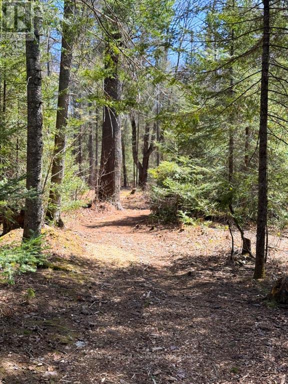 1819 Machar Strong Boundary Road W, Strong, Ontario  P0A 1Z0 - Photo 10 - X13740294