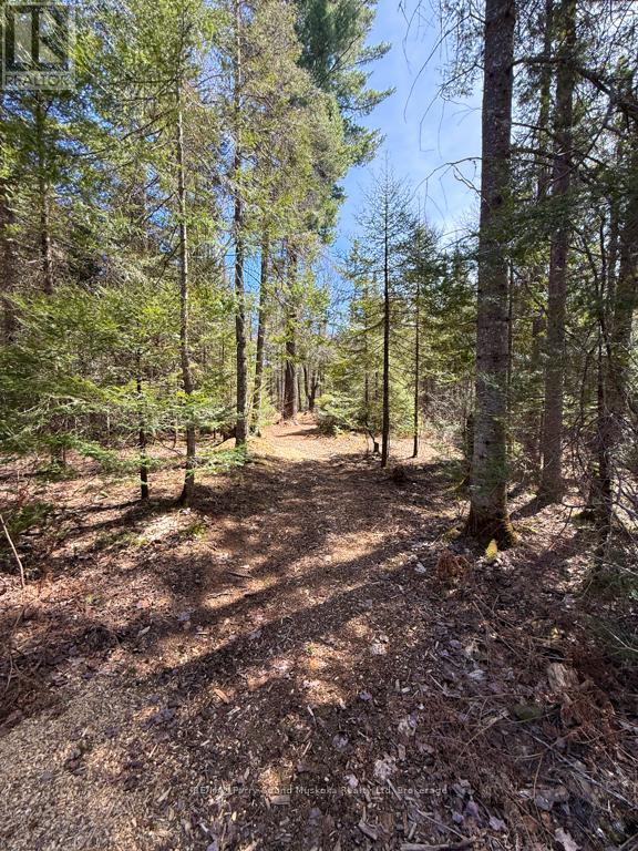 1819 Machar Strong Boundary Road W, Strong, Ontario  P0A 1Z0 - Photo 11 - X13740294